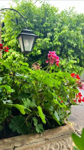 Casa Vecchia Restaurante Bistrô - Bariri