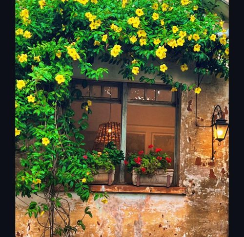 Casa Vecchia Restaurante Bistrô - Bariri